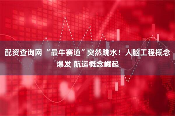 配资查询网 “最牛赛道”突然跳水！人脑工程概念爆发 航运概念崛起
